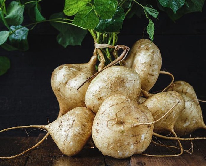 photo-1705721084551-170572108578