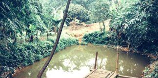 Người xưa dạy: “Trước nhà không có ao, sau nhà không cửa sổ”: Tại sao lại như vậy?