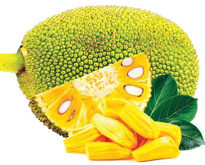 qua-mit-16885325231681097470133