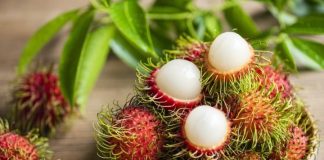 Quả chôm chôm và 8 lợi ích tuyệt vời đối với sức khỏe