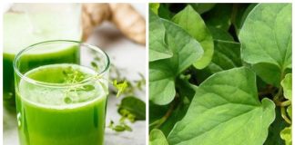 9 tác dụng của rau diếp cá mà ai cũng nên biết