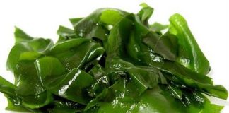 Rong biển có tác dụng gì? Top 10 công dụng chữa bệnh tốt nhất