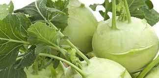 Những người tuyệt đối không ăn su hào dù thèm đến mấy