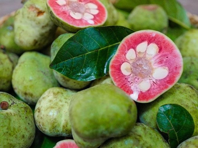 tac-dung-cua-qua-chay