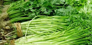 CÔNG DỤNG CỦA RAU CẦN NƯỚC LÀ GÌ?