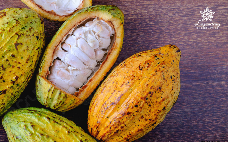 Trái cacao có lợi ích gì?