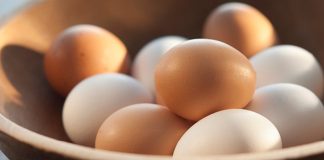 Điều gì xảy ra với cơ thể nếu ăn trứng mỗi ngày?