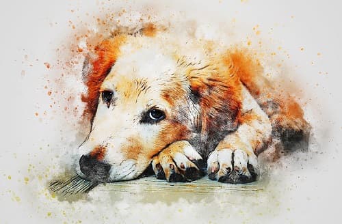 Tuất may mắn cuối tháng 3/2024