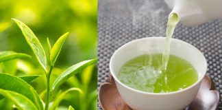 Điều gì xảy ra nếu bạn uống nước chè xanh mỗi ngày?