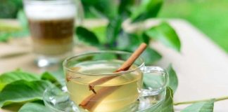 Nước lá ổi kiểm soát đường huyết hiệu quả?