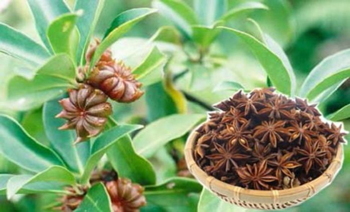 1-e153a0e5-6d1c-494a-9619-cb8256