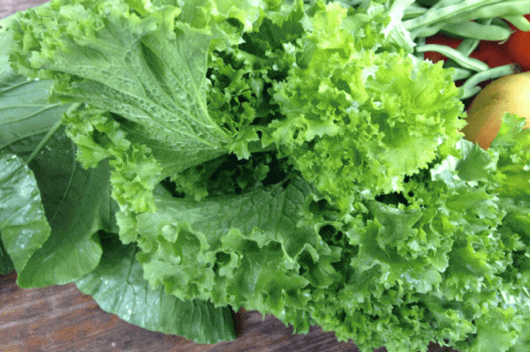 3 loại rau có nhiều “ký sinh trùng”, rau sạch, lưu ý khi ăn rau