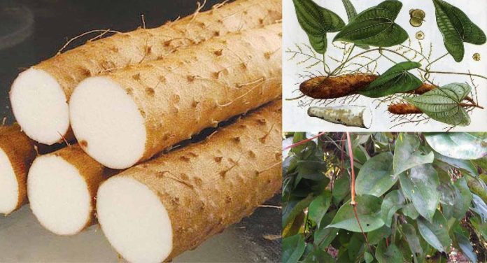 20210629_124106_944846_tac-dung