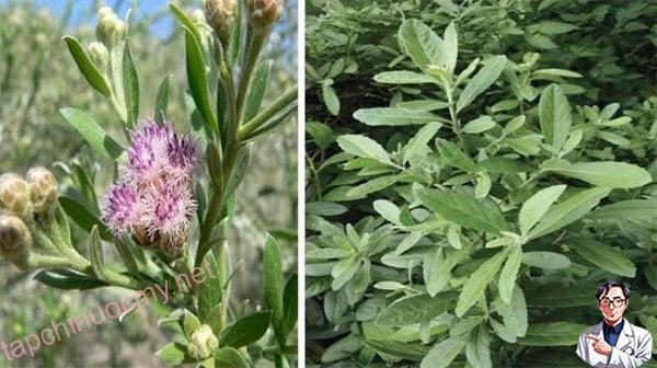 3d4dc30cf67e494783c7f11bce80cda9