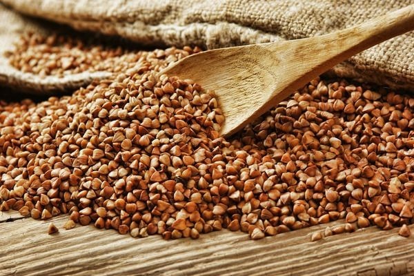 431874197_122099857424237477_239