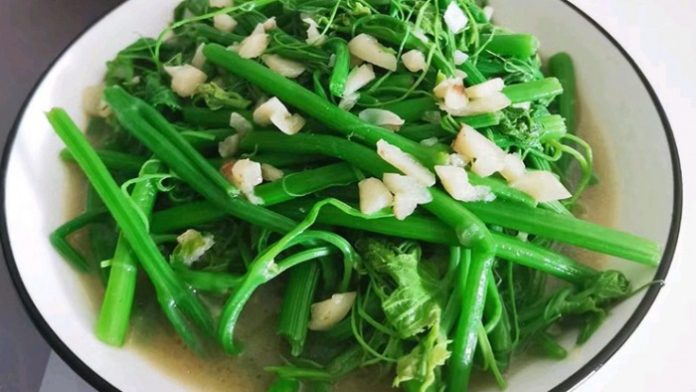 90-1662968538-515-width740height