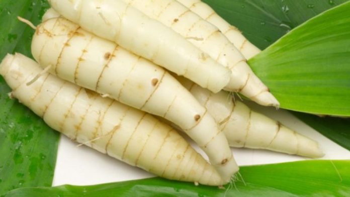 cu-dong-la-gi-nhung-loi-ich-suc