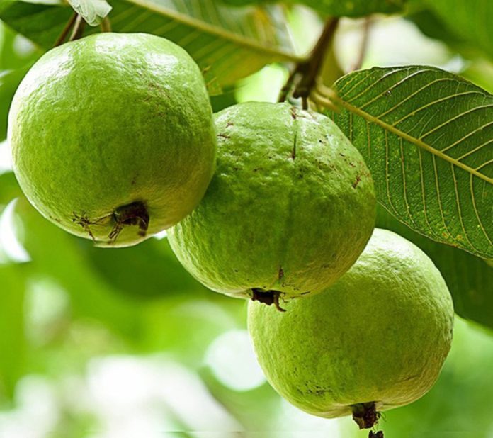 fb86b5e64c4b6a12e761891726899afe