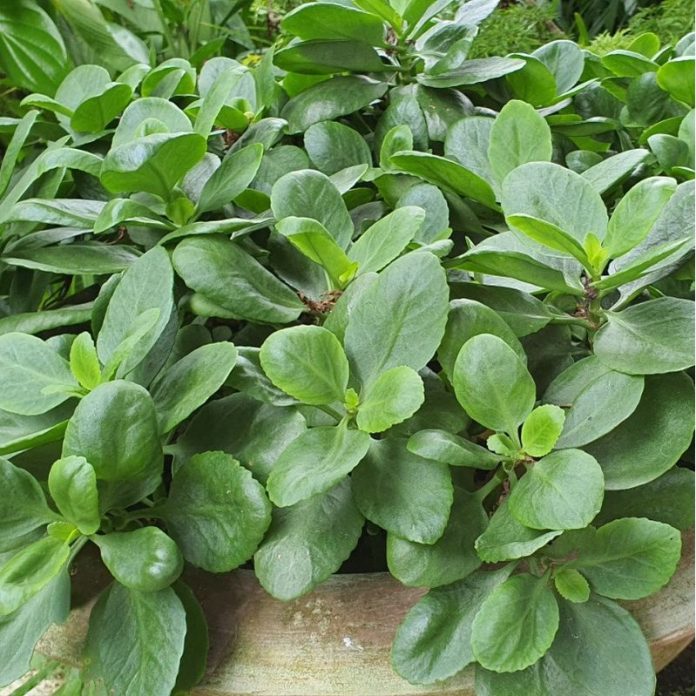 gLh4He5TBbQZKhW5zcGX