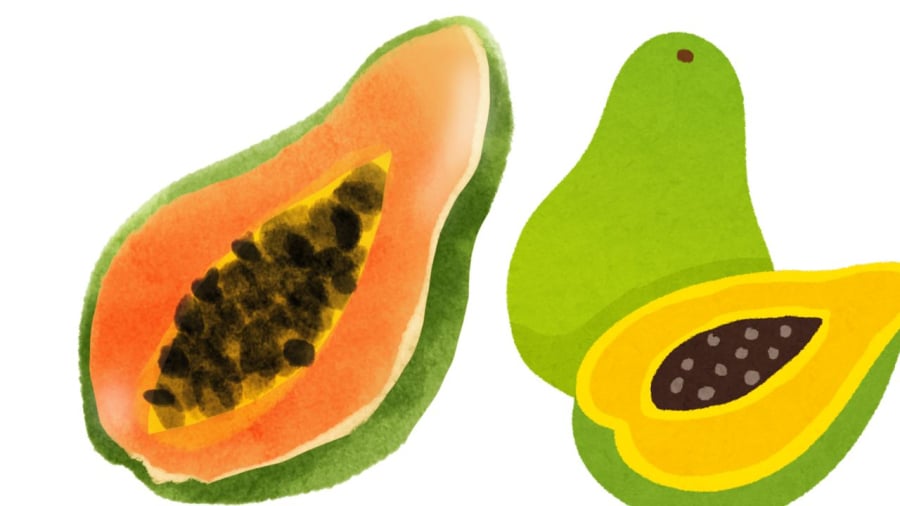 Hạt đu đủ nhiều công dụng với sức khỏe