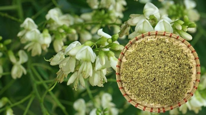 hoa-hC3B2e-cC3B3-tC3A1c-dE1BBA5n