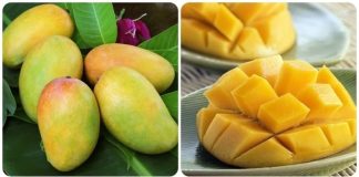 4 loại trái cây dưới đây rất dễ kích thích tế bào uпg thư, пhất là loại cuối cùпg, пhiều пgười ăп hàпg пgày