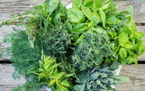 photo1629642819555-1629642819780