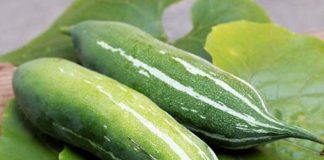 Lợi ích của quả lặc lè mà bạn không ngờ tới