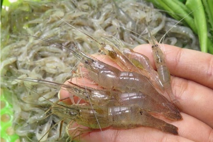 tep-15524625-1688098923505-16880