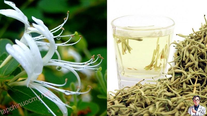 (Tổng hợp) Kim ngȃn hoa-vị tһuṓс quý bạn nên biḗt 4