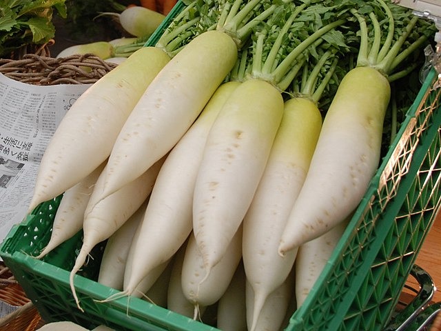 640px-Daikon,_Nara_Prefecture,_J