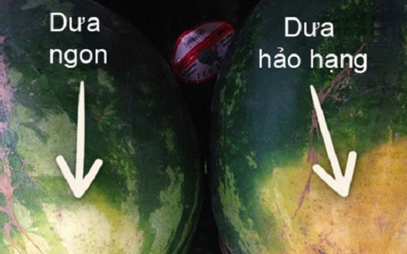 Hãy nhìn vào vḗt ong chȃm 