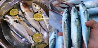 Ngȃm cá biển trong thứ nước nàу, chỉ vài phút là hḗt sạch mùi tanh