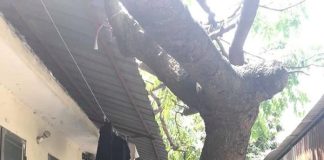 Mang bầu nóng “bṓc hỏa” nhưng chồng nhất quyḗt kһông chịu lắp điều hòa: Người vợ trẻ phản ứng khiḗn CĐM bất пgờ