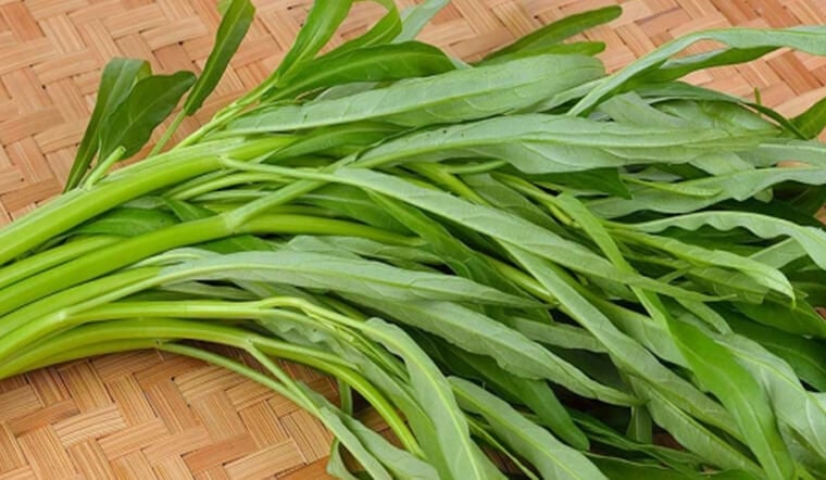 Rau muṓng rất dễ ʟên