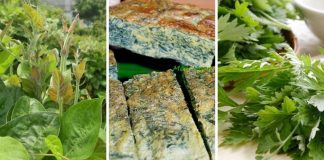 3 loại rau “quê” không lo bị “ngậm”thuốc trừ sâu: Rất tốt cho sức khỏe, ai cũng ăn được