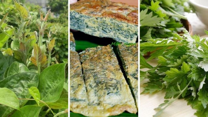 3-loai-rau-que-khong-lo-bi-ngamt