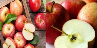 Táo bổ dưỡng nhưng có một phần tuyệt đối không được ăn