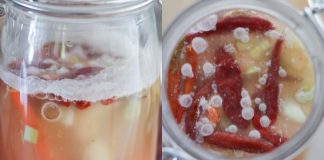 Ăn dưa muối, cà muối bị nổi váng trắng có làm sao không?