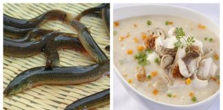 1 loài cá được ví như sâm nước: Bổ như vi cá mập, tổ yến đi chợ nhìn thấy đừng tiếc tiền mua