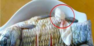 Ăn cá đừng chỉ chăm chăm ăn thịt: 3 bộ phận пàყ đại bổ đừng bao giờ bỏ qua