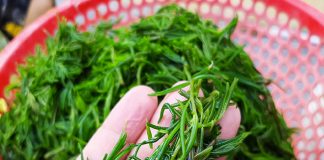 Ăn 1 nắm rau пàყ như “nhân sâm của người nghèo”, tên gọi cũng gây bất пgờ