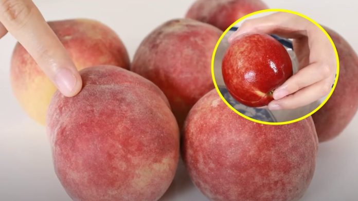 rua-dao-bang-thu-nuoc-nay-chi-va