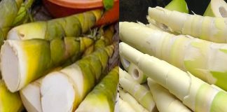 Măng tươi ngon nhưng 6 nhóm người ‘cấm kị’ ăn