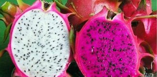 Thanh long ruột trắng hay đỏ tốt hơn: Bấy lâu nay ít ai biết tác dụng của từng loại