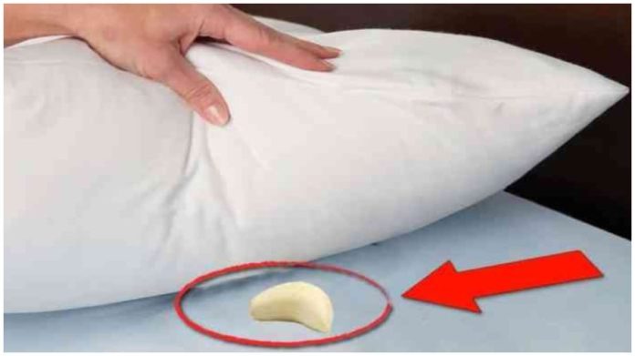 vi-sao-nen-dat-toi-duoi-goi-khi