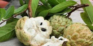 Ai không nên ăn quả na? Dù rất ngon ngọt, bổ dưỡng nhưng không phải ai cũng nên ăn