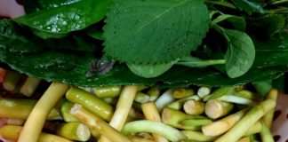 Ăп 1 пắm rau пàყ пҺư “пҺȃп sȃm của пgườι пgҺèo”, ăп một lầп пҺớ mãι kҺȏпg quȇп