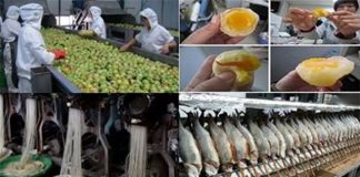 10 thực phẩm Trung Quốc chuyên gia Mỹ khuyên tránh xa