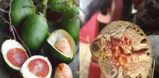 3 loại thực phẩm gây K cực mạnh, nhất là loại thứ 3, tuyệt đối không được ăn